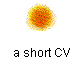 a short CV